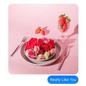 欧美毛片免费看
